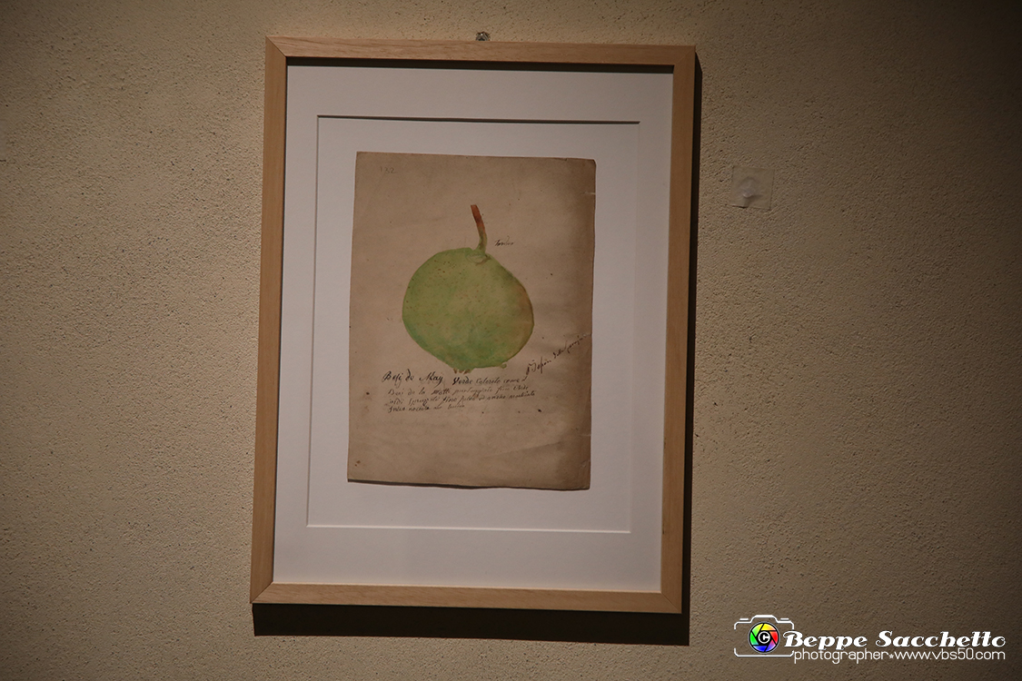 VBS_1399 - Castello di Miradolo - Mostra Oltre il giardino l'Abbecedario di paolo Pejrone.jpg